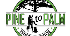 Pine to Palm