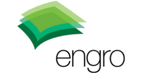 Engro Systems