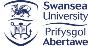 Swansea University