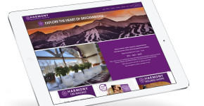 Harmony Health Massage