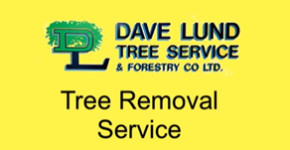 Dave Lund Tree Service