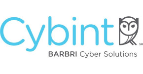 Cybint Solutions
