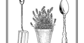 Huntly Herbs
