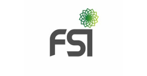 FSI Innovation Sandbox