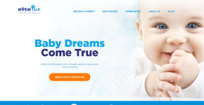 Elite IVF