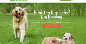 Paws Playgrounds