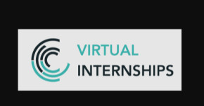 Virtual Internships