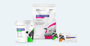 Apiam Animal Health