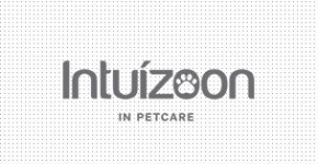 Intuizoon