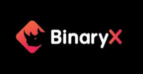 BinaryX