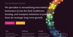Imperial Holdings Group