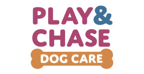 Play & Chase Dog Care