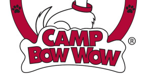 Camp Bow Wow