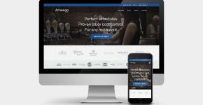 Ameego Software