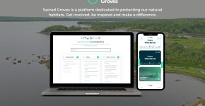 Sacred Groves