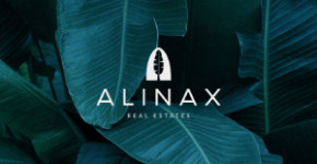 ALINAX