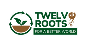 Twelve Roots