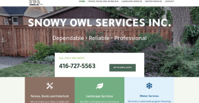Snowy Owl Services