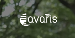 Avaris Ebikes