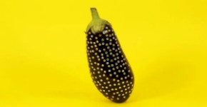 Vegazzle