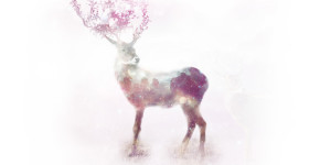 Cosmic Love Reindeer illusration