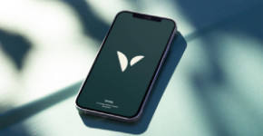 Vively