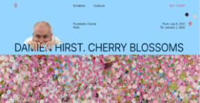 Cherry Blossoms