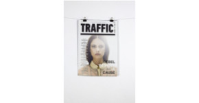 TRAFFIC News to go