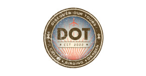 discoverourtours.com