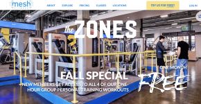 Mesh Fitness