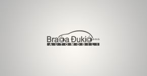 Braća Đukić