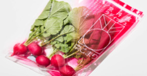 Kyotanba Radish Kyokomari