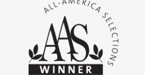 All-America Selections