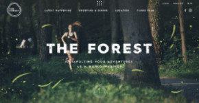 THE FOREST