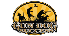 GDS