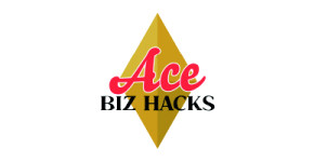 AceBizHacks