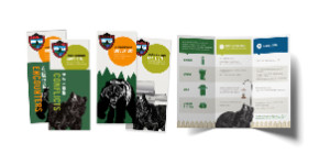 Maine Department of Inland Fisheries & Wildlife
