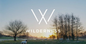 Wilderness