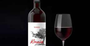 Damoli Vini