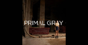 Primal Gray