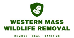 Western Mass Wildlife Removal