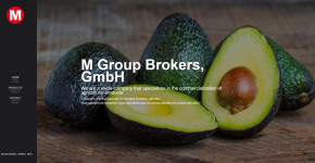 M Group Brokers