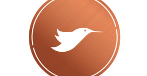 Costa & Martins, LLC