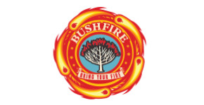 MTN Bushfires