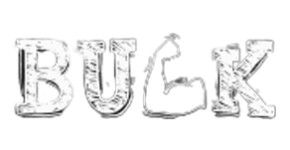 B.U.L.K
