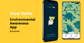 Slow Delta
