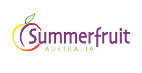 Summer Fruit