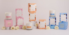 Palm Beach Collection