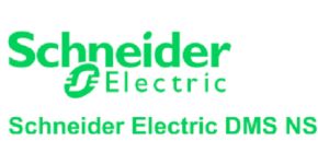 Schneider Electric DMS NS (FRA)