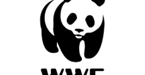 WWF